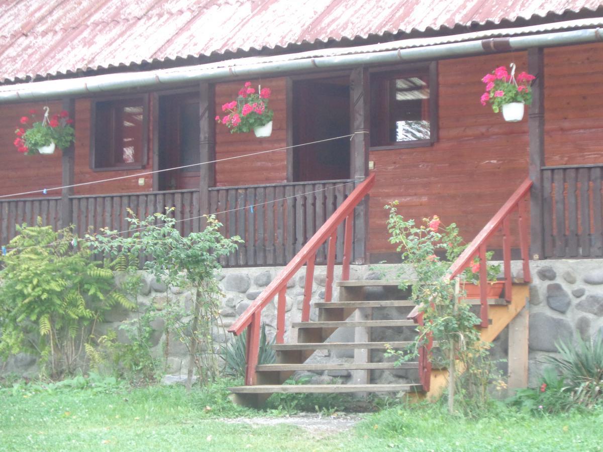Motel Regina Sovata Εξωτερικό φωτογραφία